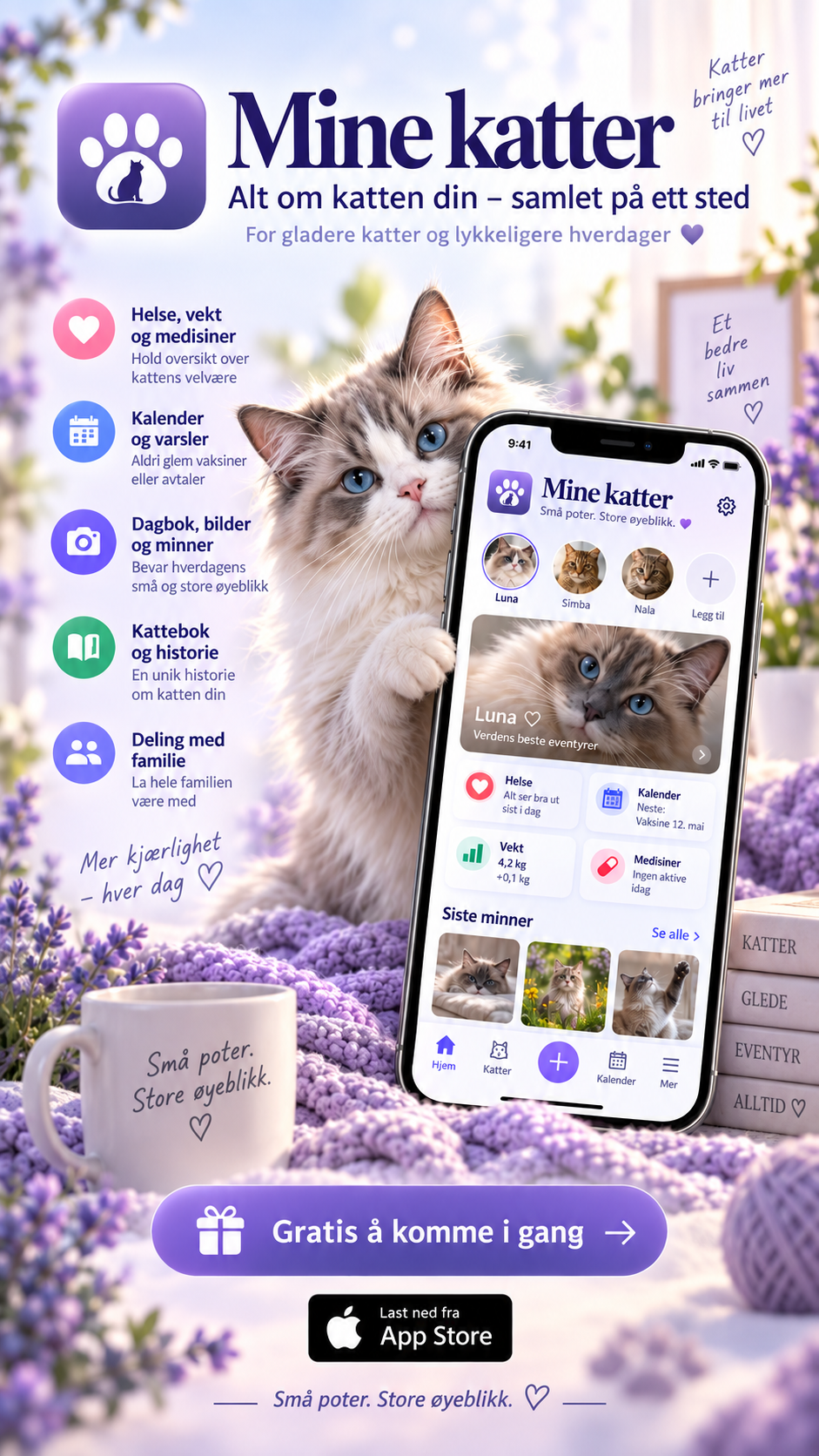 Mine katter-plakat